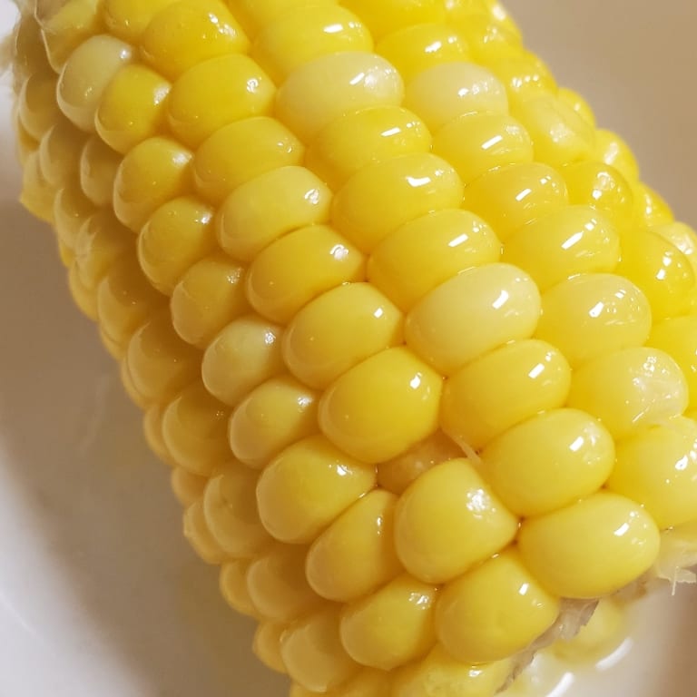 Savor Our Corn on the Cob